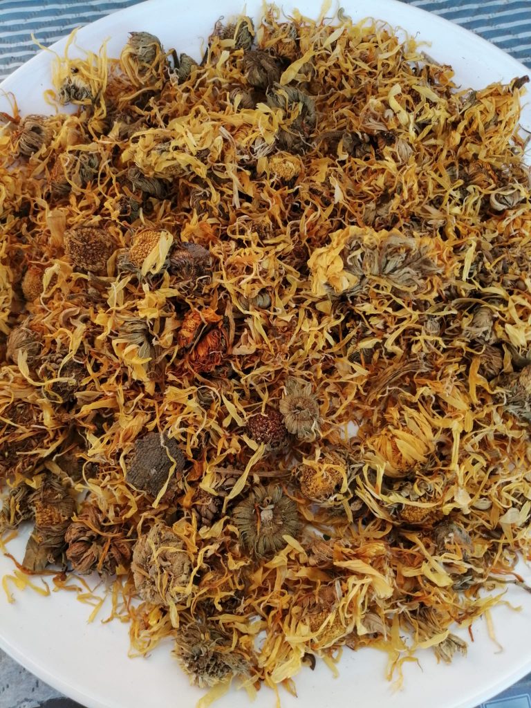 Óleo macerado de caléndula